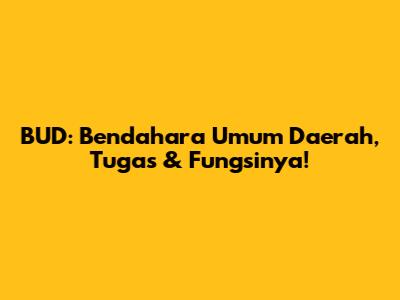 BUD: Bendahara Umum Daerah, Tugas & Fungsinya!