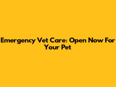 Emergency Vet Care: Open Now For Your Pet